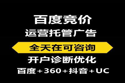 某公司网站sem托管项目纪实